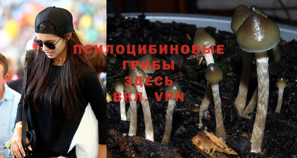 кокаин перу Иннополис