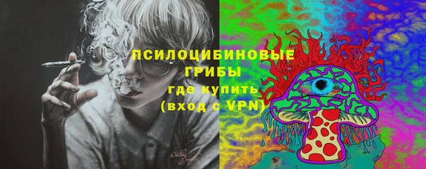 кристаллы Инта