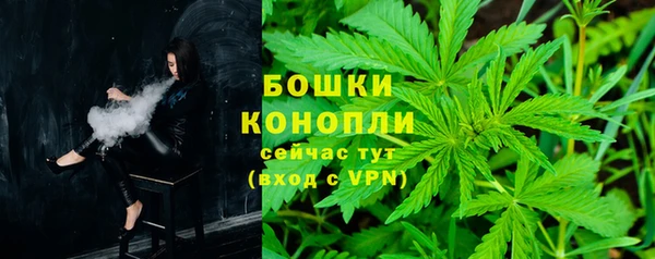 ECSTASY Инсар